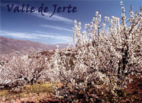 Valle de Jerte